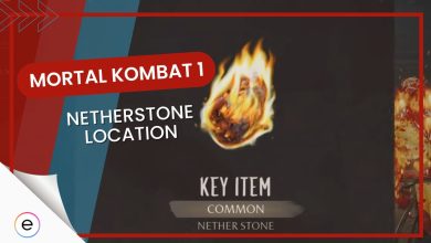 MK1 Netherstone Location Map