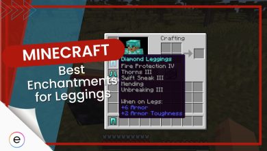 Minecraft Best Leggings Enchantments