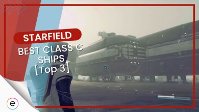Best Class C Ships in Starfield [Top 3]