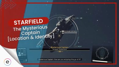Guide for Mysterious Captain