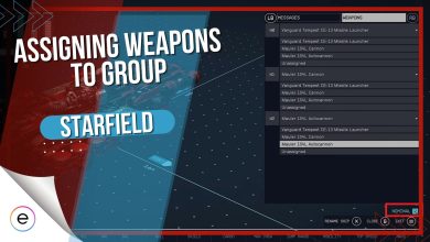 assign weapon to group starfield.