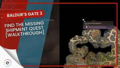 BALDUR'S GATE 3 find the missing shipment