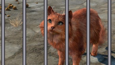 A cat in Baldur's Gate 3 behind a set of prison bars.