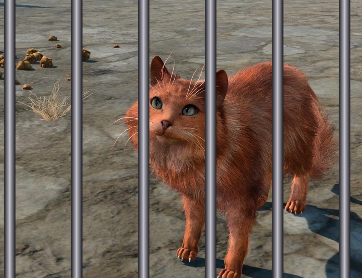 A cat in Baldur's Gate 3 behind a set of prison bars.