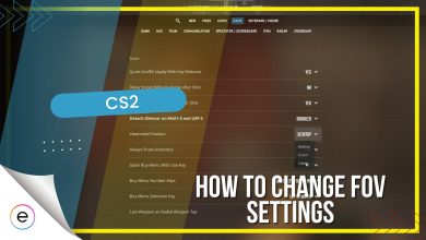 How To Change FOV Setting In CS2