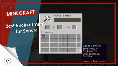 Best Enchantments For Shovel In Minecraft