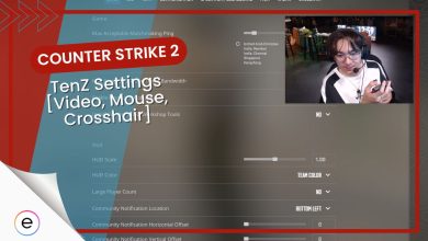 TenZ's Settings in Counter-Strike 2