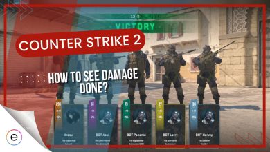 CS2 how to see damage done after match and update