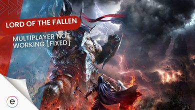 how to fix lord of the fallen multiplayer not working