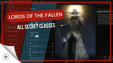 secret classes lords of the fallen