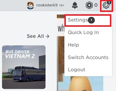 going to settings in Roblox Browser