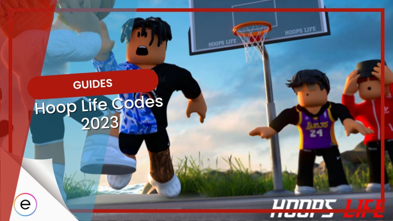Hoop Life Codes 2023