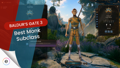 Baldur's Gate 3 Best Monk Subclass