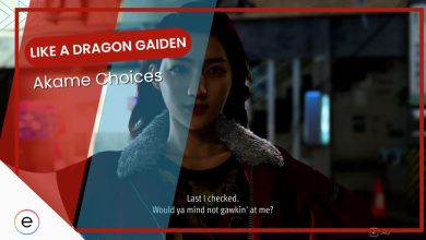 Akame Choices Like A Dragon Gaiden