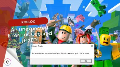 an unexpected error has occurred roblox