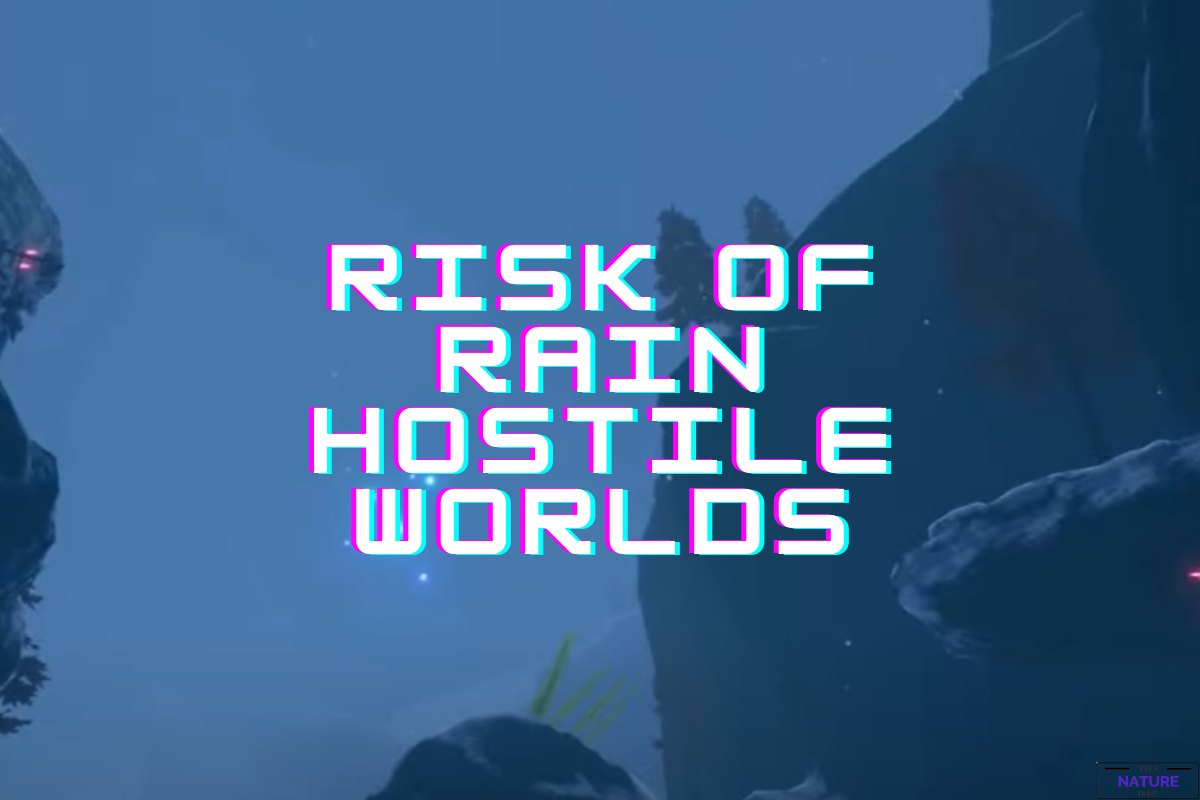Risk Of Rain: Hostile Worlds