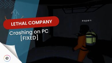 Lethal company crashing on pc solved