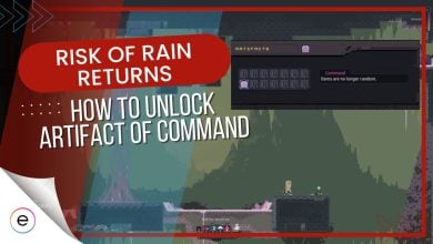 artifact of command risk of rain returns