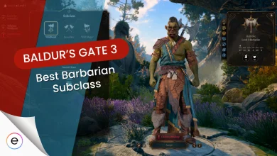 BG3 Best Barbarian Subclass