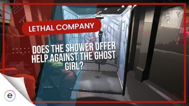 shower lethal company