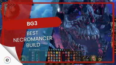 BG3 Best Necromancer Build