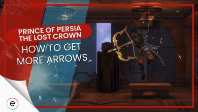 Prince of Persia Lost Crown How To Get More Arrows