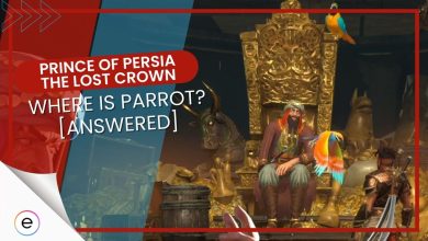 Prince of Persia The Lost Crown Pirate Captain Parrot Location