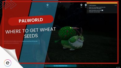 Where To Get Wheat Seeds Palworld