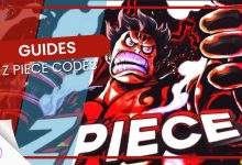 Z Piece Codes