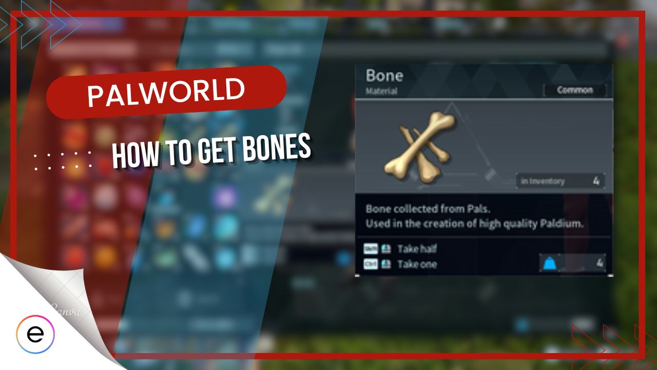 bones palworld
