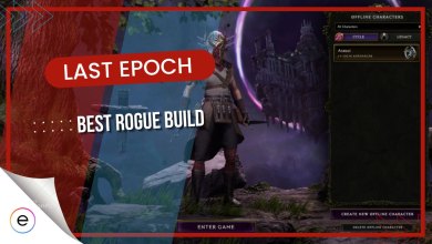best rogue build last epoch