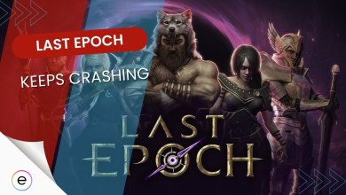 Last Epoch Keeps Crashing