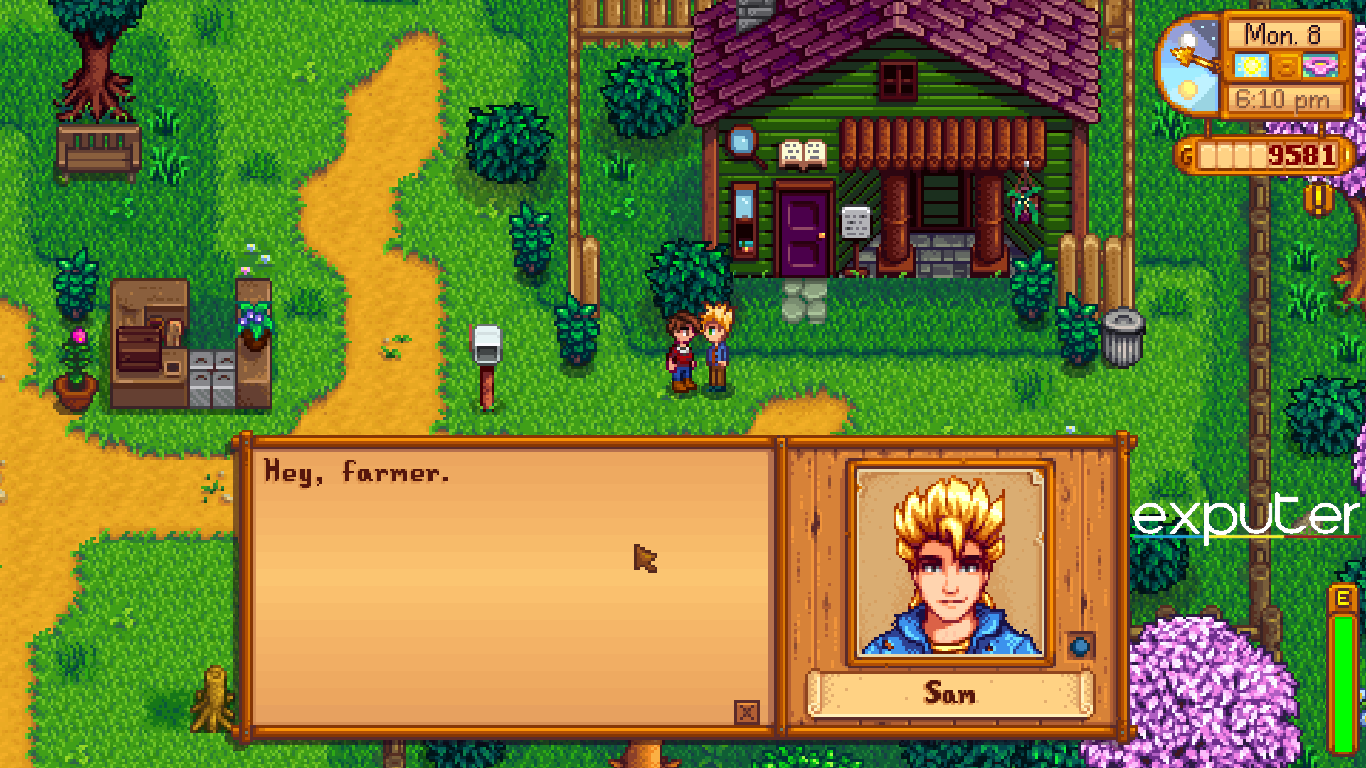 Stardew Valley Same's Dialogue and Personality