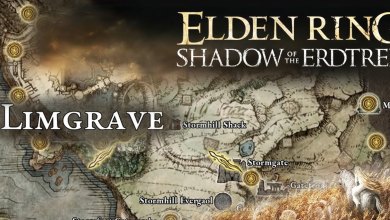 Shadow of the Erdtree and Limgrave