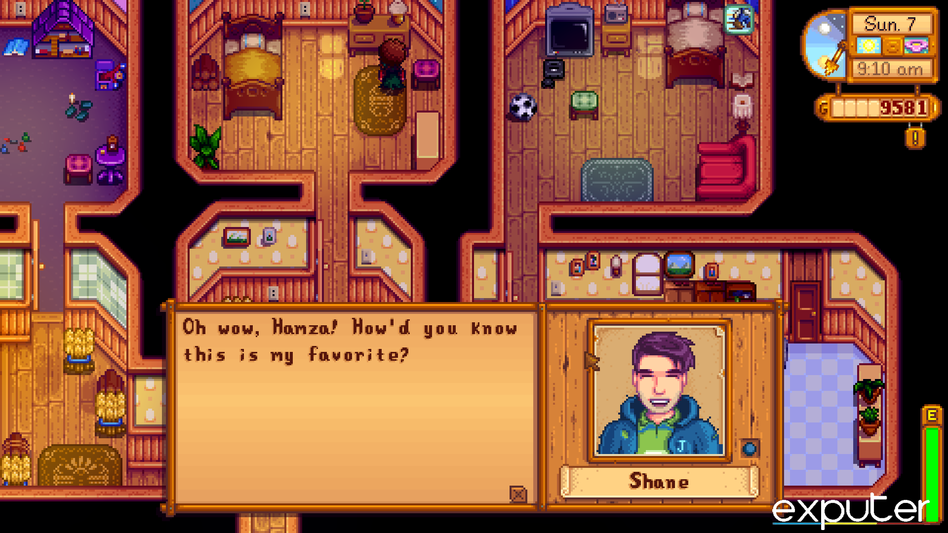 Stardew Valley Shane's Dialogue and Personality