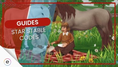 Star Stable Codes