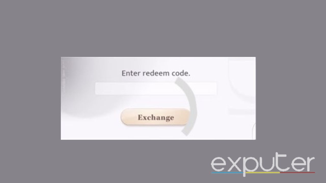 The screen that appears while redeeming codes