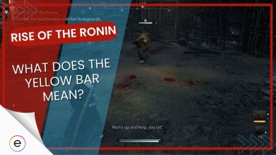 yellow bar on weapon rise of the ronin