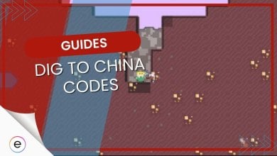 Dig To China Codes