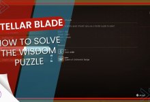 wisdom puzzle stellar blade