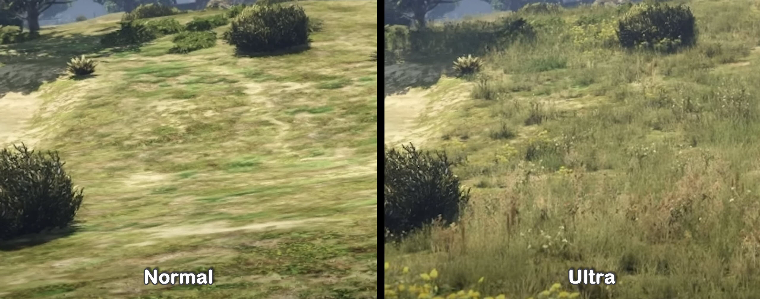 GTA 5 Grass Quality