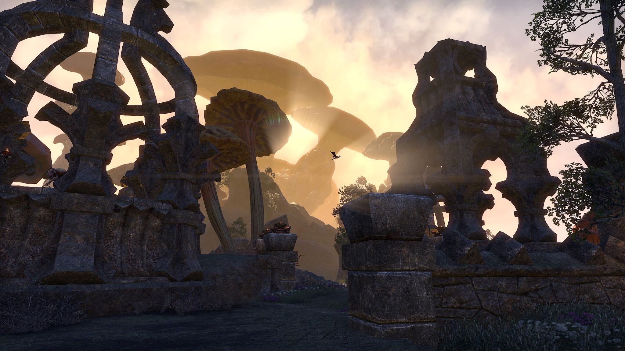 Руководитель Elder Scrolls Online говорит, что MMO равна «более 10 однопользовательским играм»
