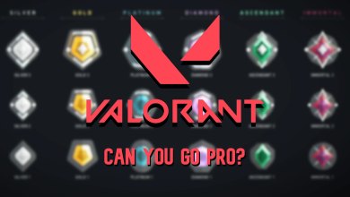 With A Thriving Esports Scene, Now Might Be The Ideal Time To Go Pro In Valorant (via Exputer).