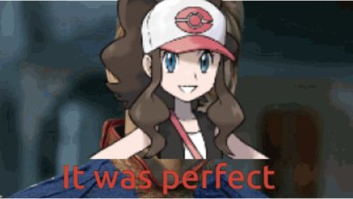 An edited image of Homelander's popular "it was perfect" meme but instead of Homelander it's the Pokemon Black and White 2 female protagonist.