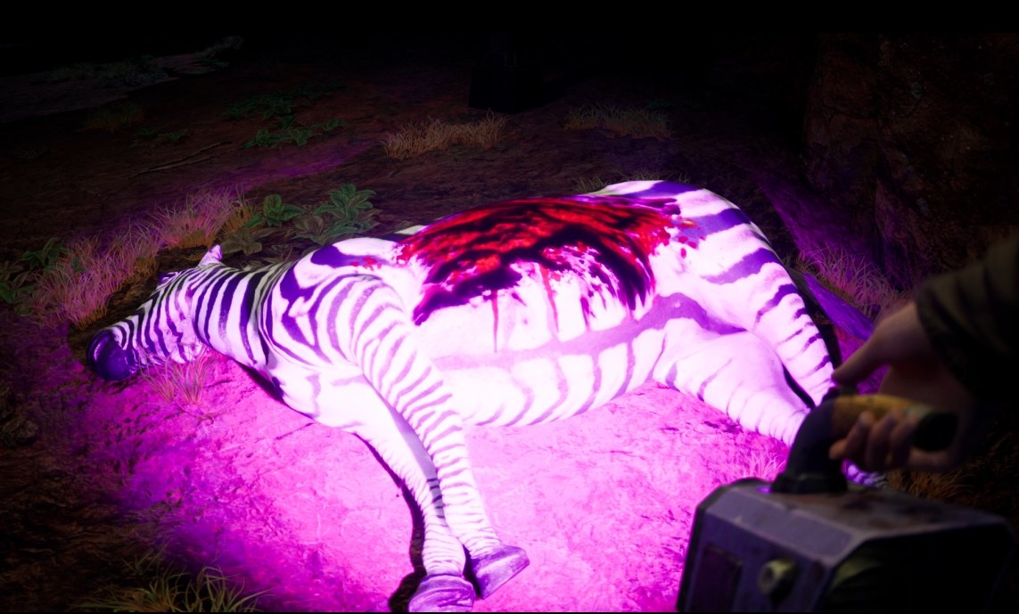 Zoochosis Zebra