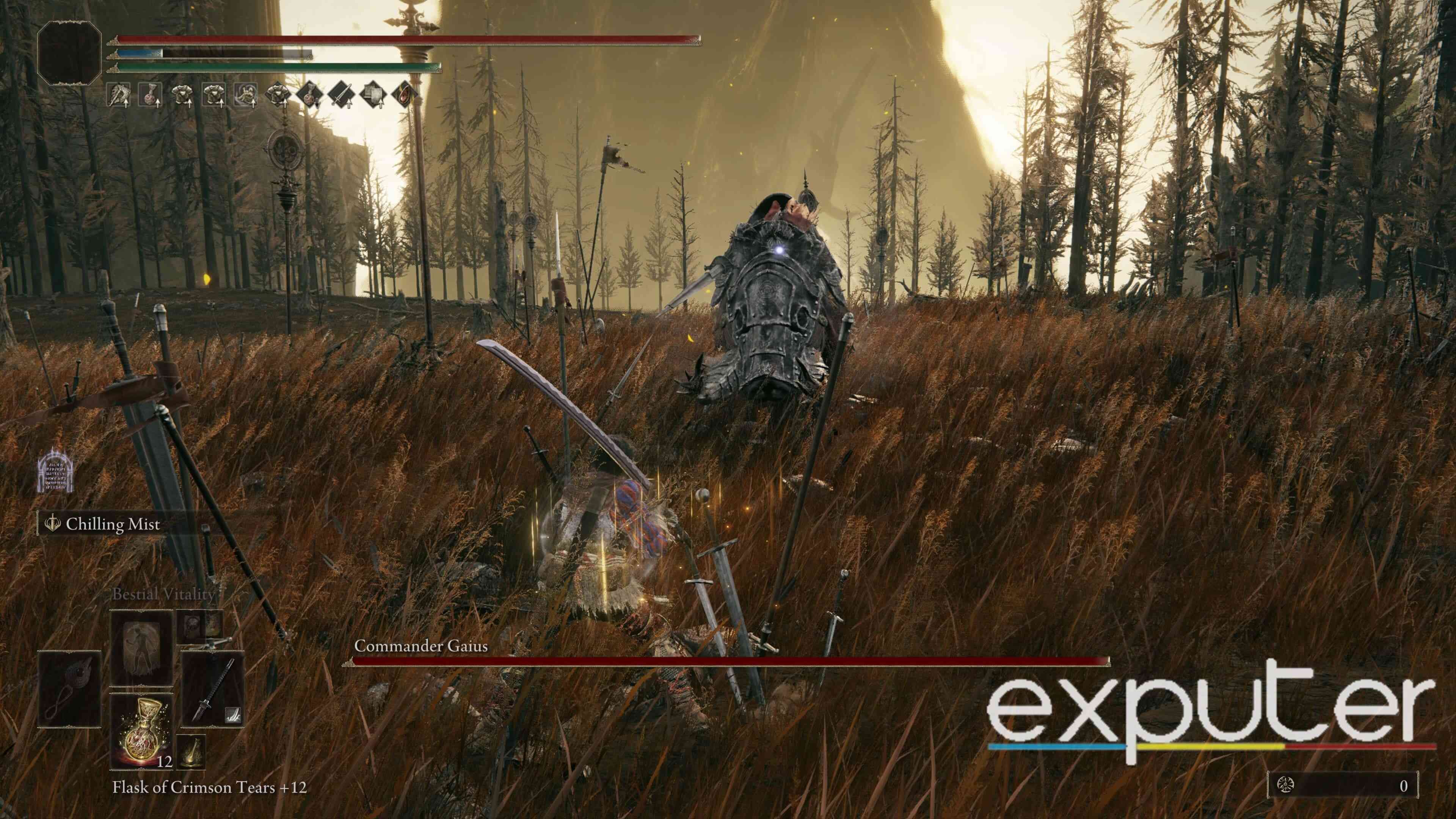 Fighting Against Commander Gaius In Shadow of the Erdtree